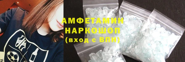 прущие грибы Корсаков