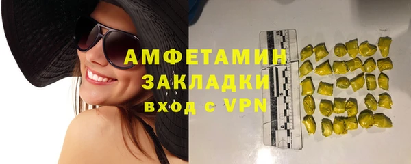 прущие грибы Корсаков