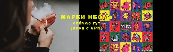 прущие грибы Корсаков