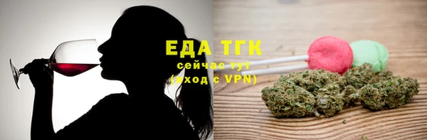 прущие грибы Корсаков