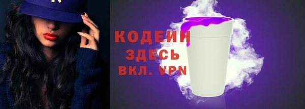 прущие грибы Корсаков