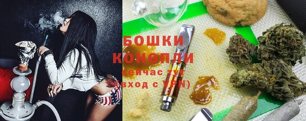 прущие грибы Корсаков