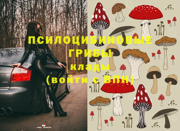 MESCALINE Коряжма