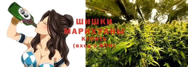 прущие грибы Корсаков