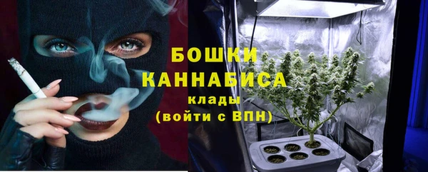 MESCALINE Коряжма