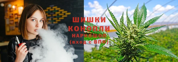 прущие грибы Корсаков