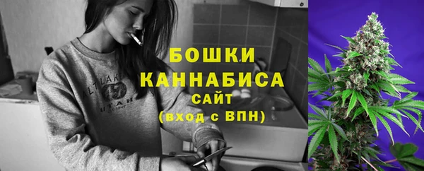 прущие грибы Корсаков